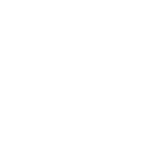 ey_logo_white